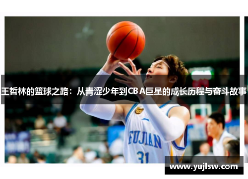 王哲林的篮球之路：从青涩少年到CBA巨星的成长历程与奋斗故事